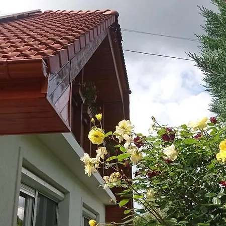 Robitel Wellness Veszprém-gyulafirátót Vendégház Veszprém
