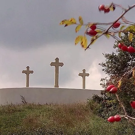 Robitel Wellness Vendeghaz Veszprem-gyulafiratot 4*